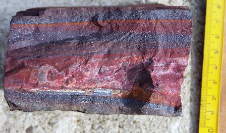 Banded iron sedimentary rock sample